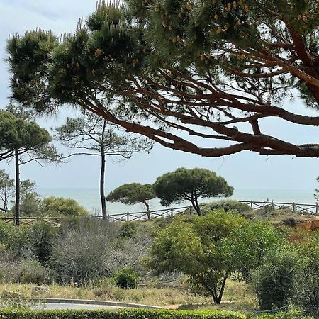 Praia Da Falesia Alfa Mar Albufeira Olhos de Agua  Eksteriør bilde
