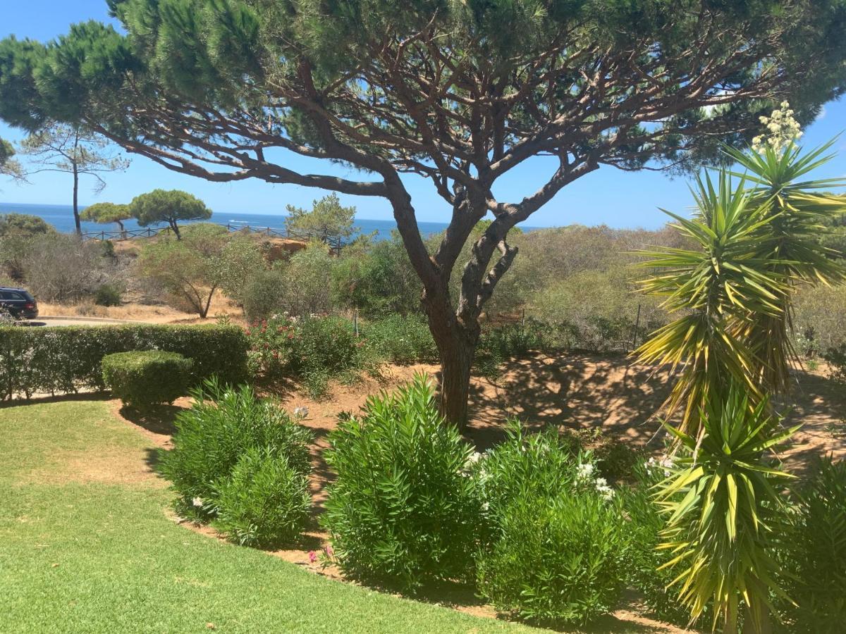 Praia Da Falesia Alfa Mar Albufeira Olhos de Agua  Eksteriør bilde